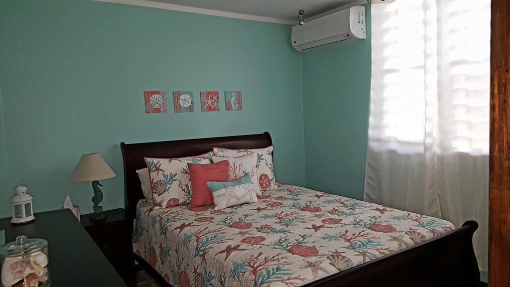 Fully Air-Conditioned Beach Front Penthouse Apartment Naguabo Екстериор снимка